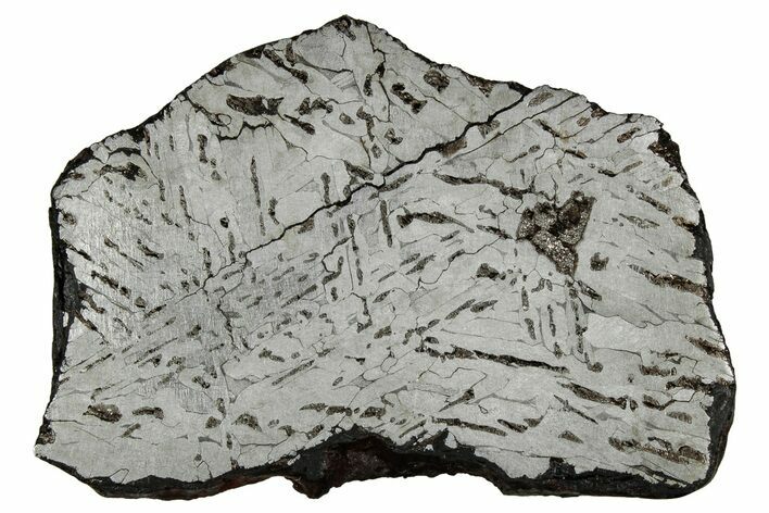 Etched Canyon Diablo Meteorite Slice ( g) - Arizona #356062